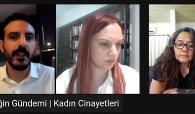 Bağımsızlık Yolu: “Mevcut mekanizmalar işletilmeden yeni yasa kadınları korumaz”