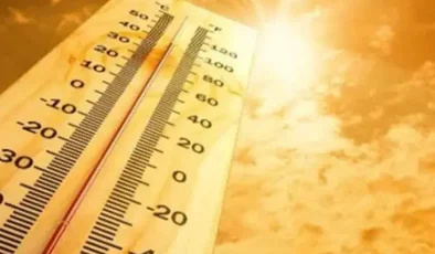 Sıcaklık yüksek, mide-bağırsak enfeksiyonu riski sürüyor, Çubukçuoğlu uyardı