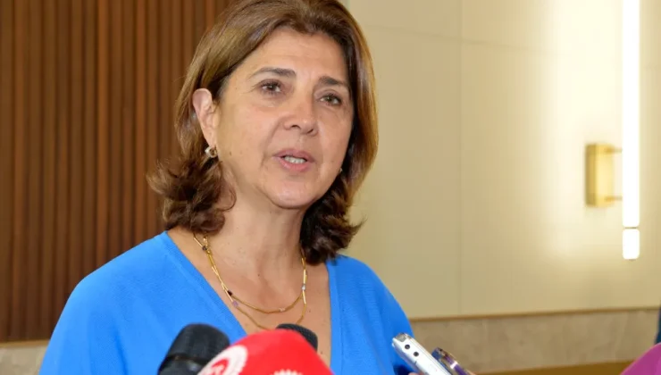 Holguin’in New York’taki görüşmelere ilişkin açıklaması Rum basınında
