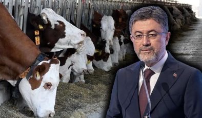 Hayvancılıkla ilgili yeni destek! Artık ücret alınmayacak