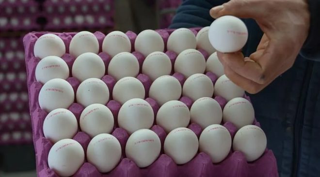 Kaç paraya satılmalı? Üreticiler, 30’lu yumurtanın ideal fiyatını açıkladı