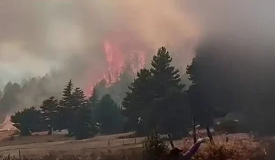 Adana ve Kayseri’de orman yangını!