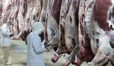 Kırmızı ette sığır karkasın fiyatı sıcak ağırlığa göre belirlenecek: Fire kesintisinin önüne geçilecek