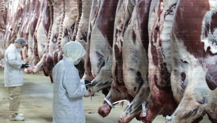 Kırmızı ette sığır karkasın fiyatı sıcak ağırlığa göre belirlenecek: Fire kesintisinin önüne geçilecek