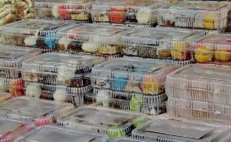 Plastik kap kullananlar dikkat! Tip 2 diyabet riskini artırabilir