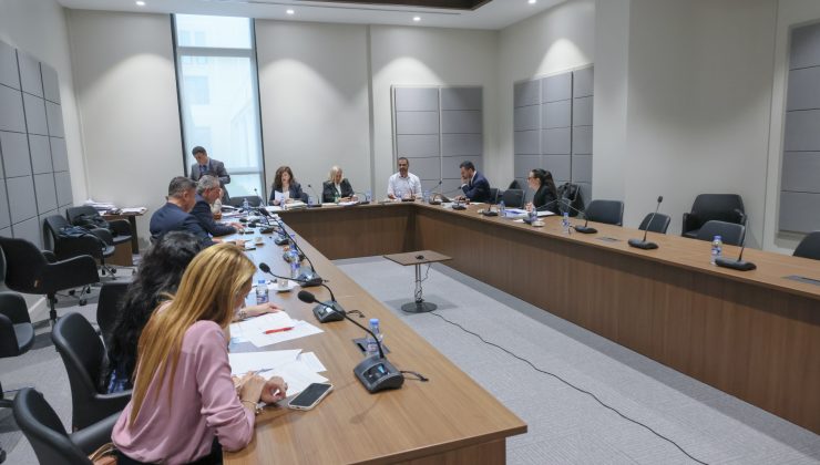 Güvenlik kamu görevlileri ve motorlu araç satıcıları ve ithalatçılarıyla ilgili yasa değişiklikleri meclis komitesinde görüşüldü