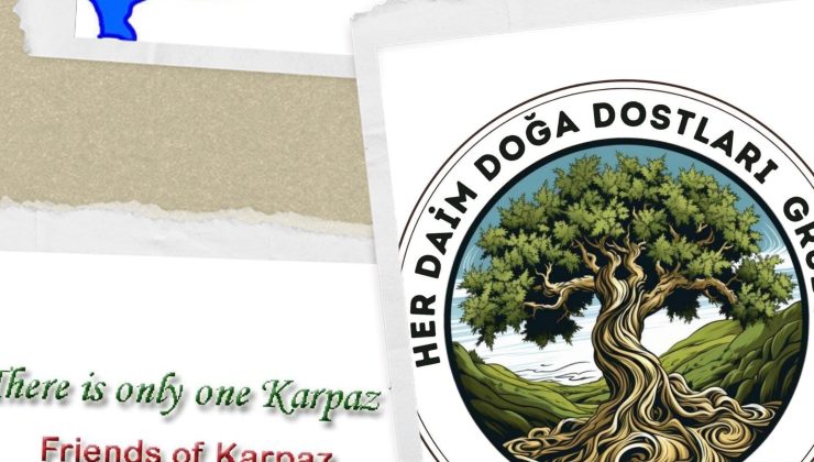 Üç örgüt, 10 Ekim Dünya Göçmen Kuşlar Günü’nde Ayluga Sulak Alanı’nda etkinlik düzenleyecek
