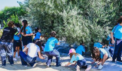 Öğrenciler, LTB Kızılbaş Parkı’nda zeytin hasadı yaptı