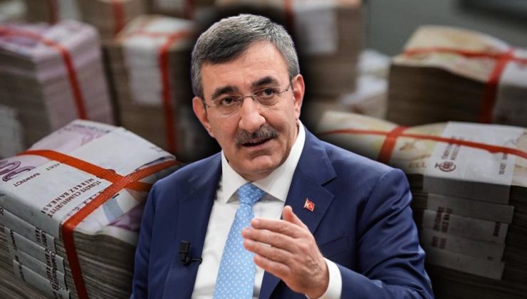 Aslan payı yine eğitimin!