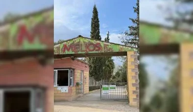 “Melios Hayvanat Bahçesi’nden” firar eden ayı yakalandı