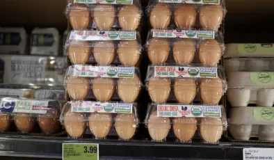 Hong Kong, H5N1 salgını üzerine Danimarka ve ABD’den tavuk yumurtası alımını kesti