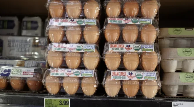 Hong Kong, H5N1 salgını üzerine Danimarka ve ABD’den tavuk yumurtası alımını kesti